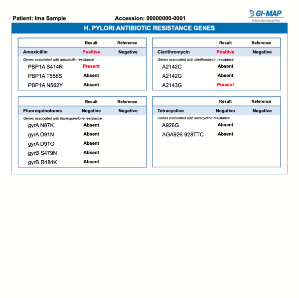 GI Map Microbiome Stool Test Sample Report Interpretation Page 5